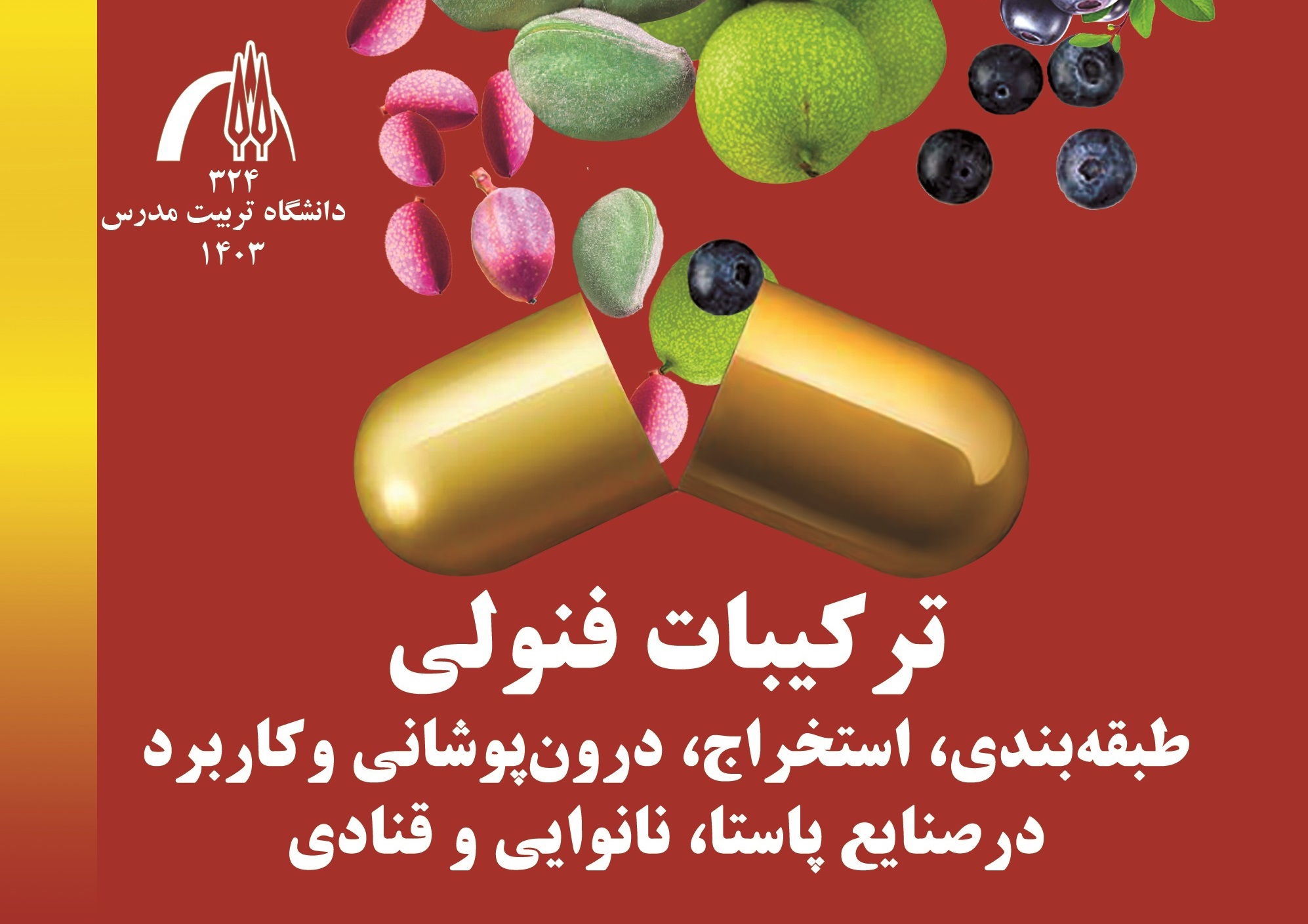 انتشار کتاب «ترکیبات فنولی طبقه بندی، استخراج، درون پوشانی و کاربرد در صنایع پاستا، نانوایی و قنادی»