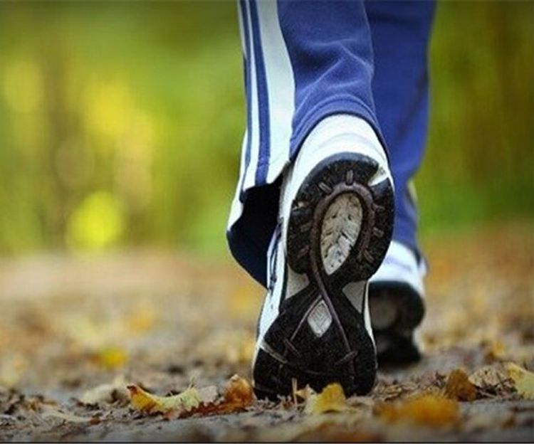 اهدای هدیه ورزشی به شرکت‌کنندگان در برنامه‌های پیاد‌ه‌روی نیمه نخست سال ۱۴۰۲